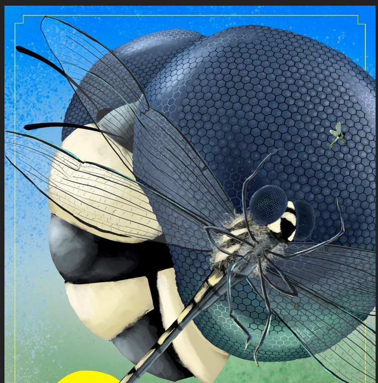 Fauna