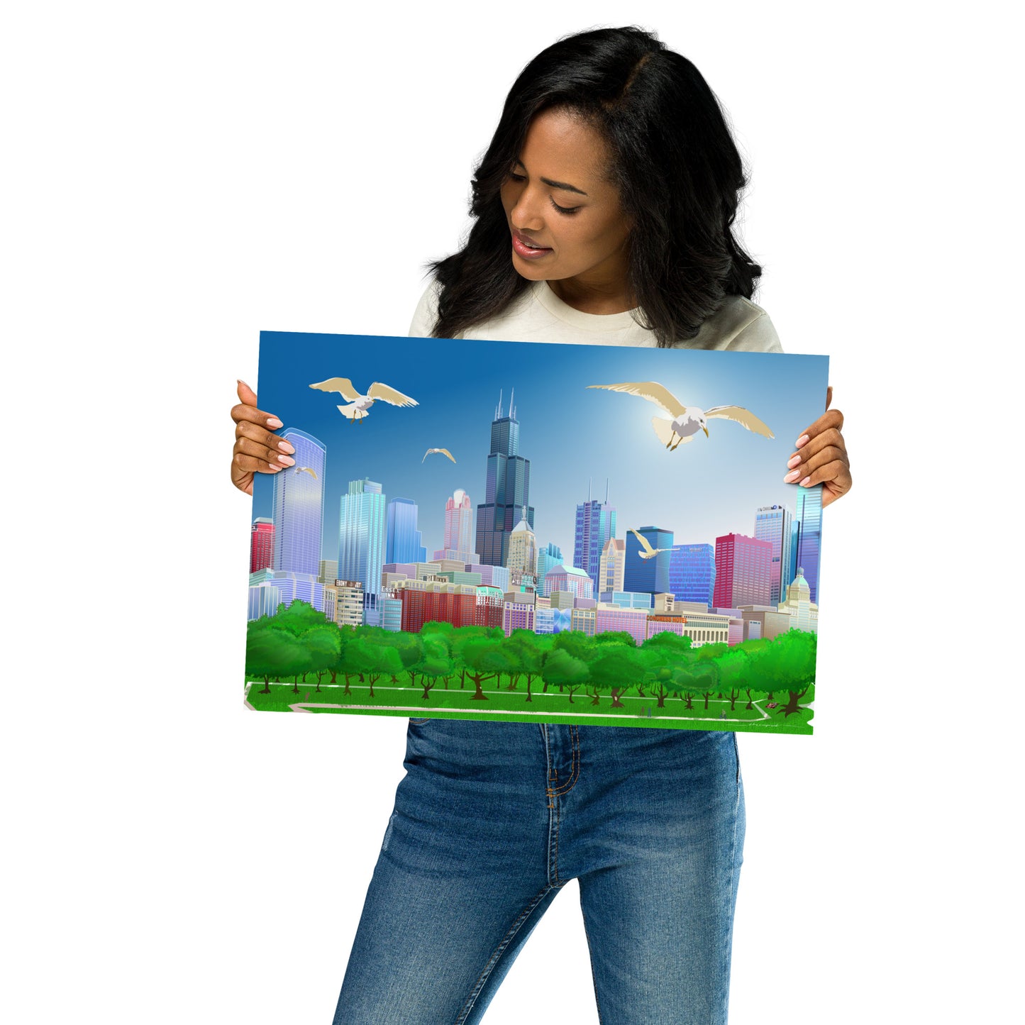 Chicago Summer Seagulls [Illustration Art Print]