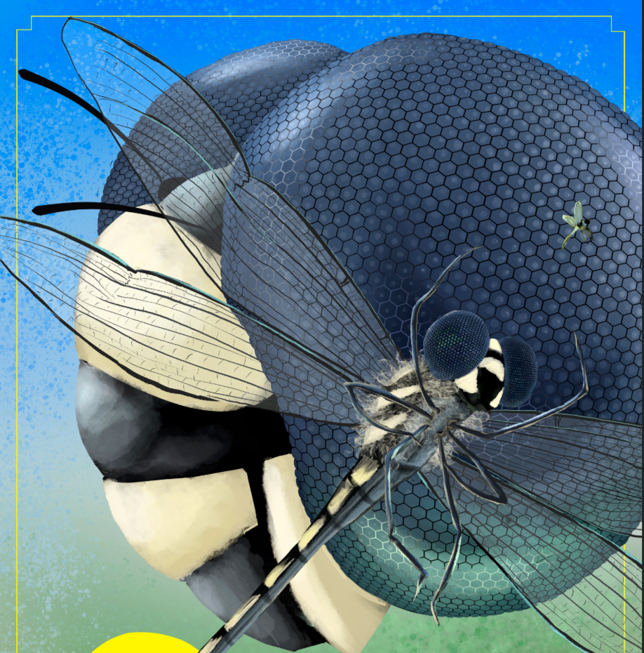 Giant Dragonfly hunting a mostquito Illustration by ChicagoSeb
