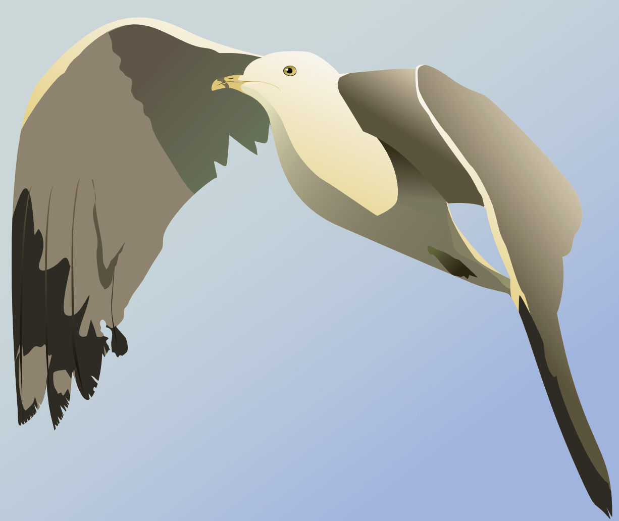 動画を読み込む: A screen recording showing how I design a seagull using vectors in Affinity Designer.